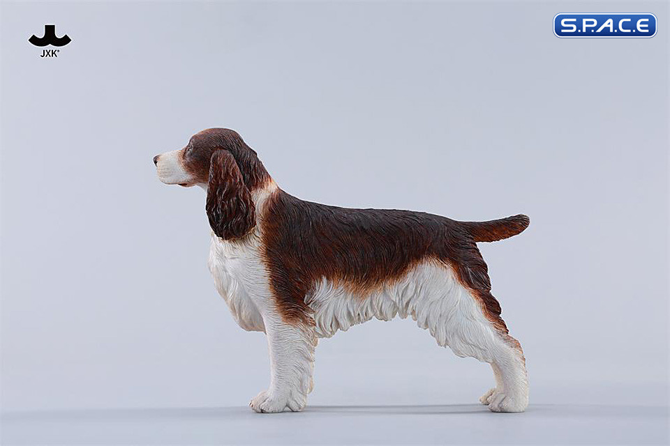 1/6 Scale Cocker Spaniel Version B