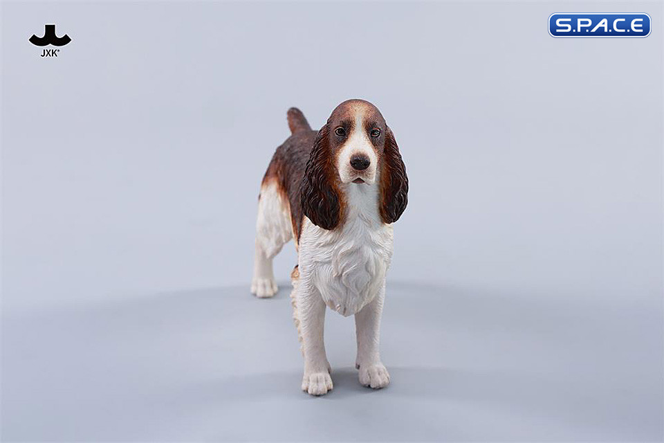 1/6 Scale Cocker Spaniel Version B