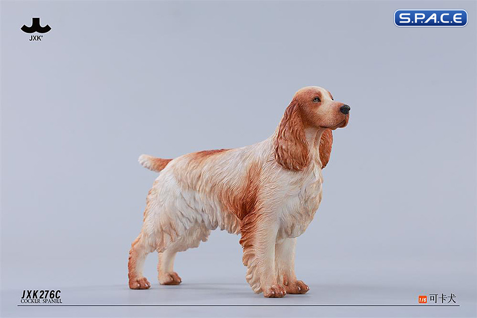 1/6 Scale Cocker Spaniel Version C