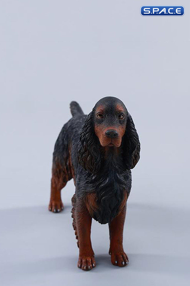1/6 Scale Cocker Spaniel Version D