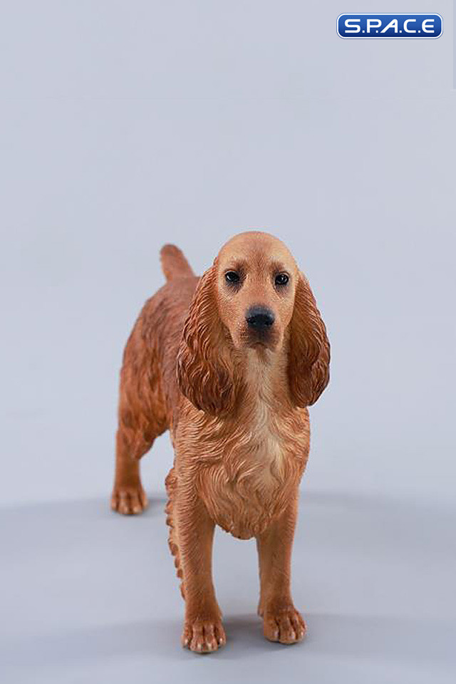 1/6 Scale Cocker Spaniel Version E