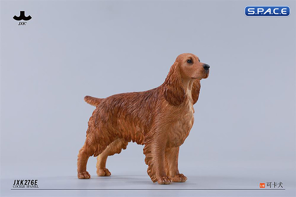 1/6 Scale Cocker Spaniel Version E