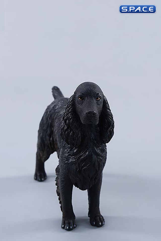 1/6 Scale Cocker Spaniel Version F