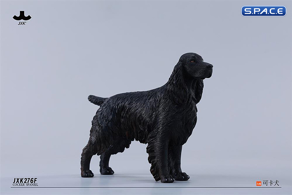 1/6 Scale Cocker Spaniel Version F