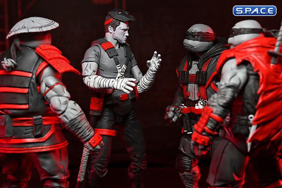 Nightwatcher Casey Jones (Teenage Mutant Ninja Turtles: The Last Ronin - Lost Years)