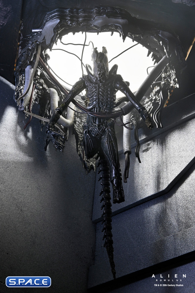 Deluxe Suspended Lab Xenomorph XX121 (Alien: Romulus)