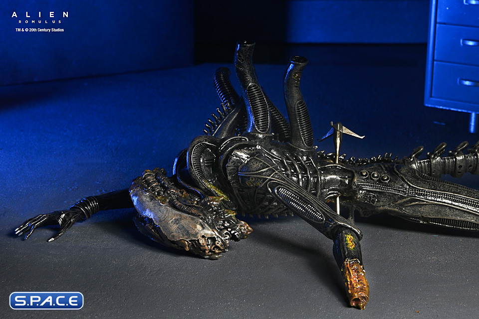 Deluxe Suspended Lab Xenomorph XX121 (Alien: Romulus)