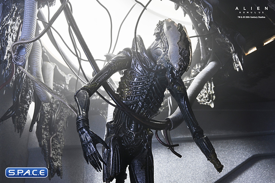 Deluxe Suspended Lab Xenomorph XX121 (Alien: Romulus)