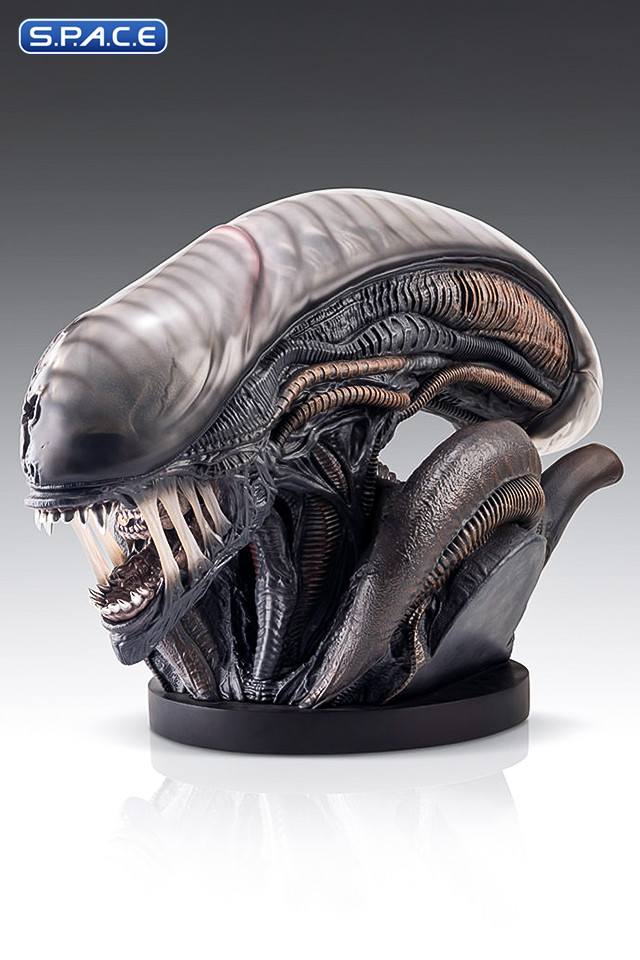 1:1 Xenomorph Life-Size Bust (Alien: Romulus)