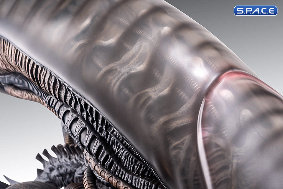 1:1 Xenomorph Life-Size Bust (Alien: Romulus)