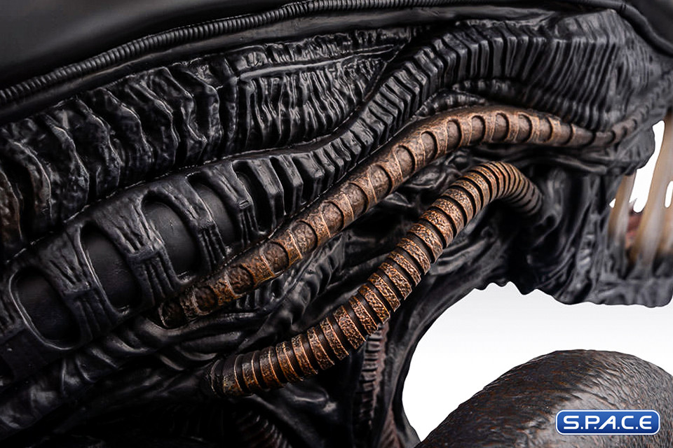 1:1 Xenomorph Life-Size Bust (Alien: Romulus)
