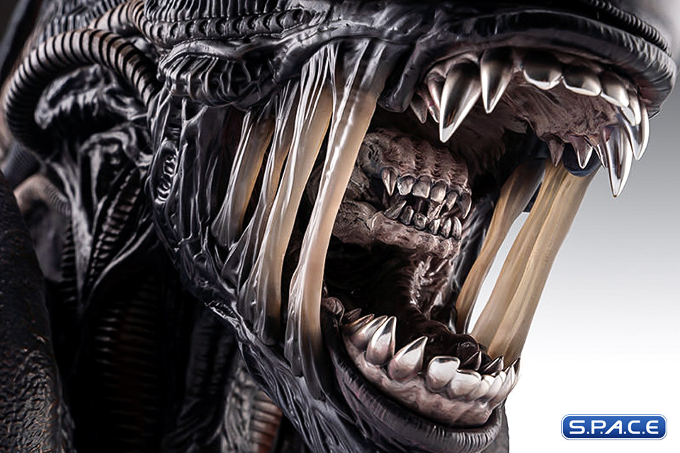1:1 Xenomorph Life-Size Bust (Alien: Romulus)