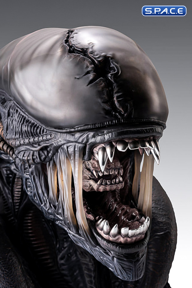 1:1 Xenomorph Life-Size Bust (Alien: Romulus)