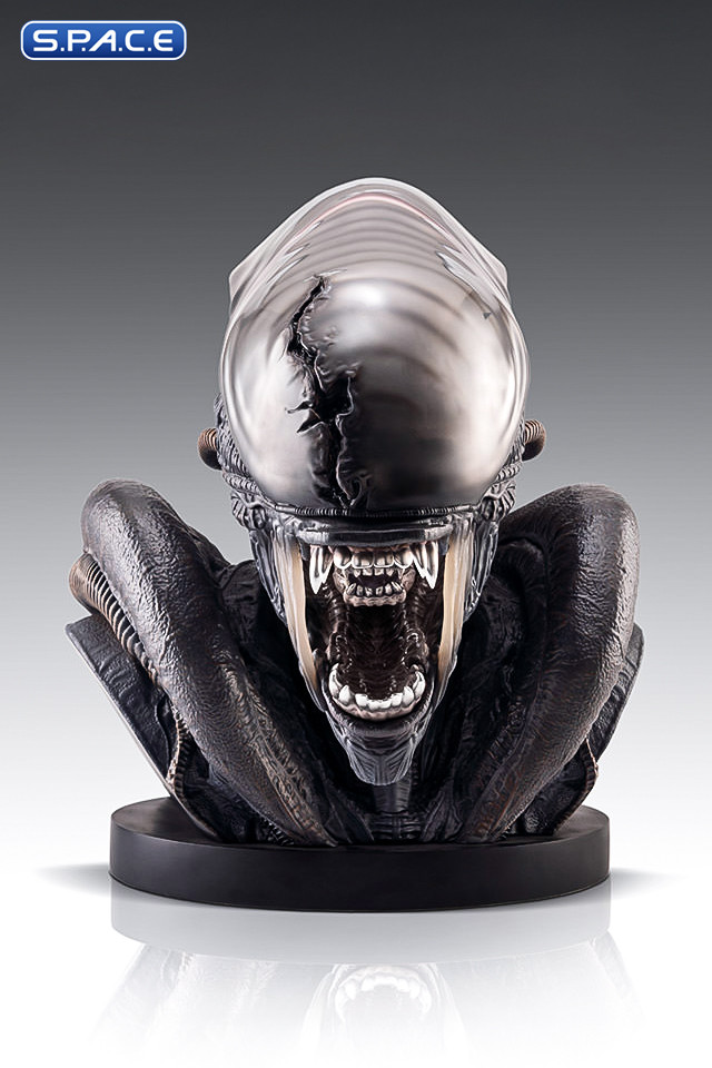 1:1 Xenomorph Life-Size Bust (Alien: Romulus)