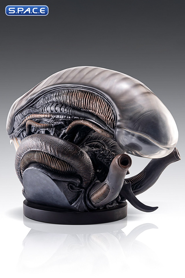 1:1 Xenomorph Life-Size Bust (Alien: Romulus)