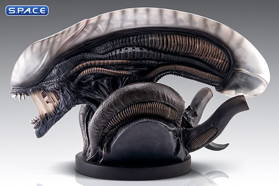 1:1 Xenomorph Life-Size Bust (Alien: Romulus)