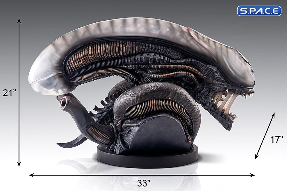 1:1 Xenomorph Life-Size Bust (Alien: Romulus)