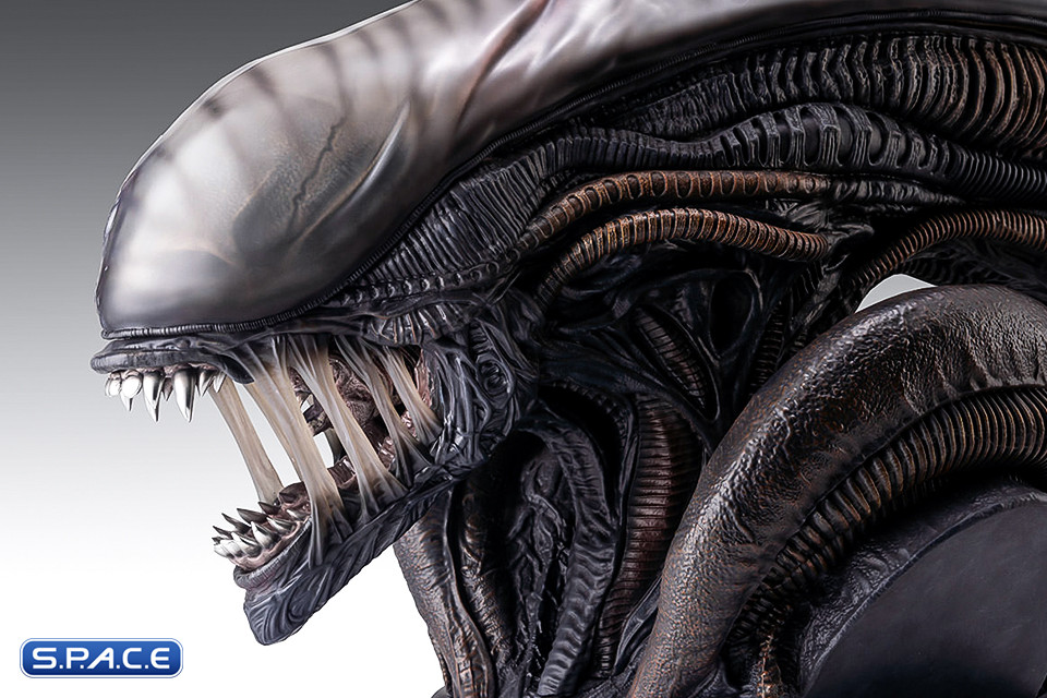 1:1 Xenomorph Life-Size Bust (Alien: Romulus)