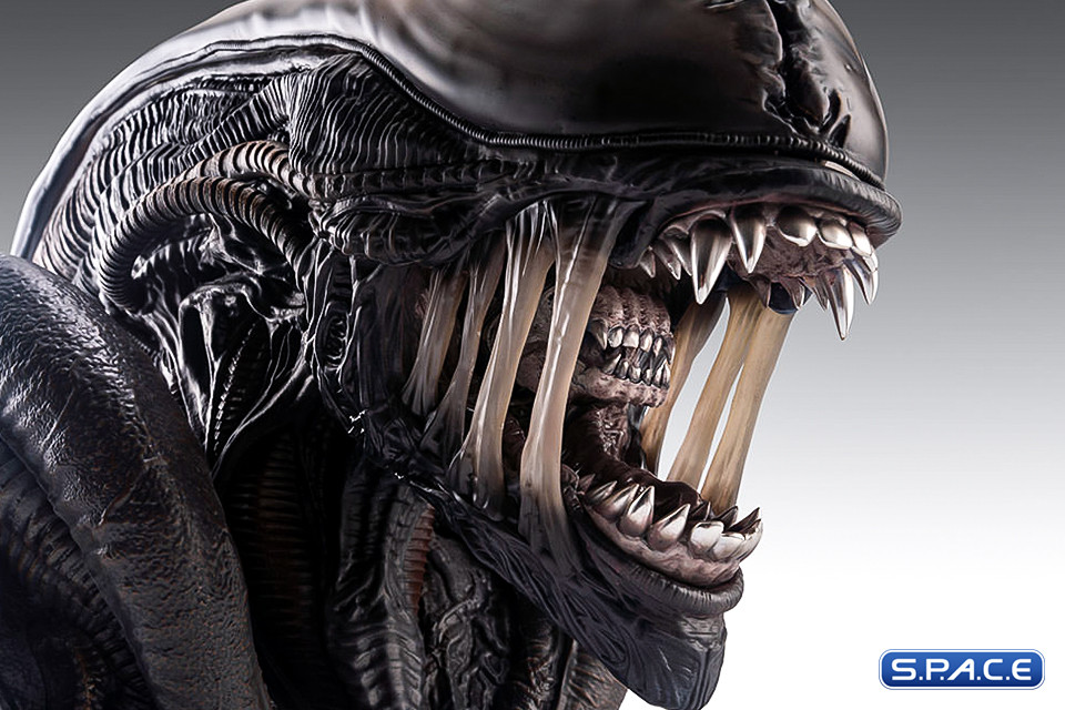 1:1 Xenomorph Life-Size Bust (Alien: Romulus)