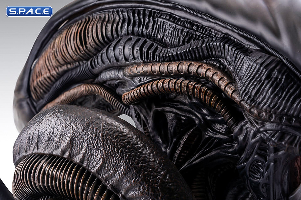 1:1 Xenomorph Life-Size Bust (Alien: Romulus)