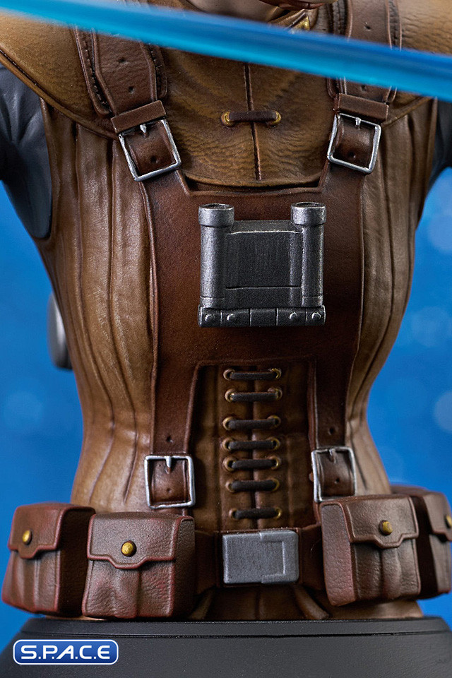 Starkiller Hero Concept Bust (Star Wars)