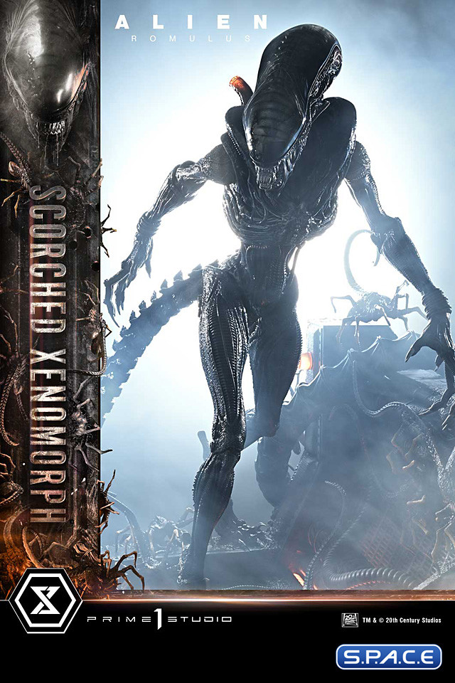 1/3 Scale Scorched Xenomorph Museum Masterline XL Statue (Alien: Romulus)