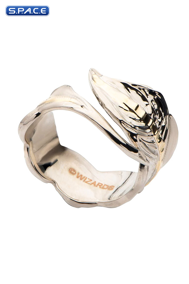 Dungeons & Dragons 6 Ring Set (Dungeons & Dragons)