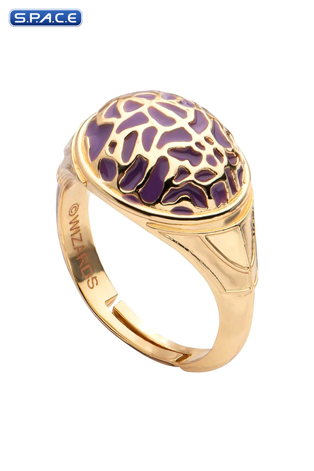 Dungeons & Dragons 6 Ring Set (Dungeons & Dragons)