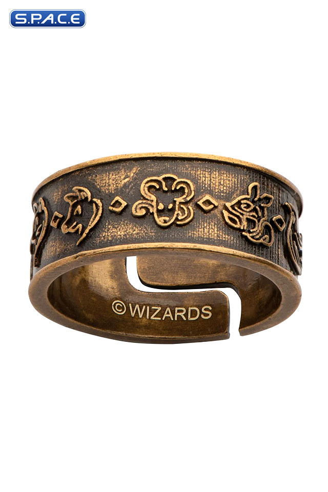 Dungeons & Dragons 6 Ring Set (Dungeons & Dragons)