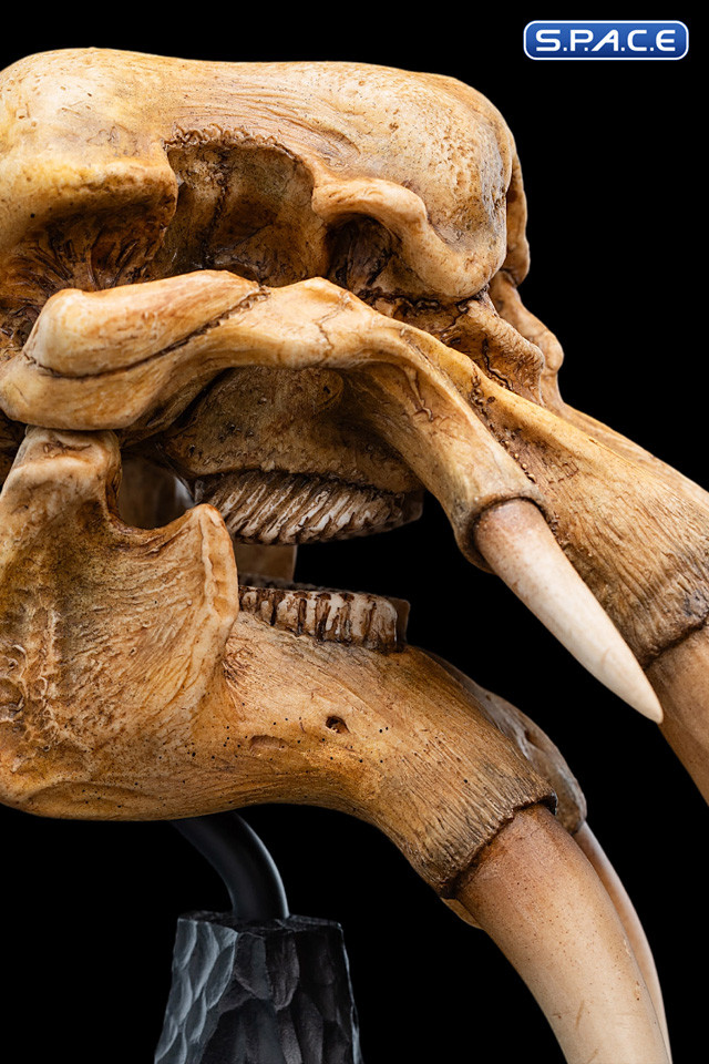 Skull of a Mumak (Lord of the Rings)