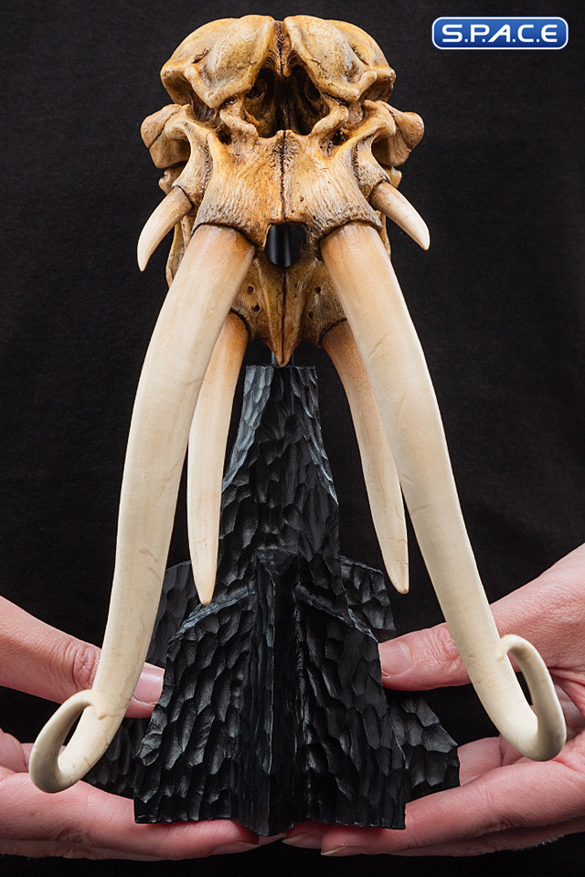 Skull of a Mumak (Lord of the Rings)