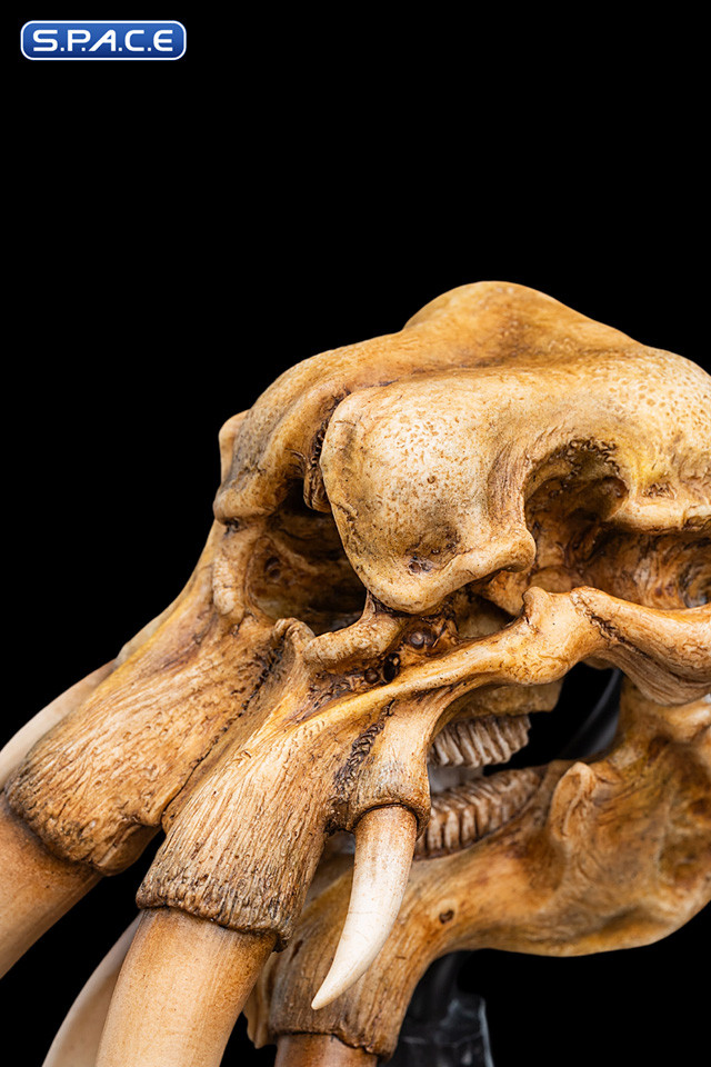 Skull of a Mumak (Lord of the Rings)