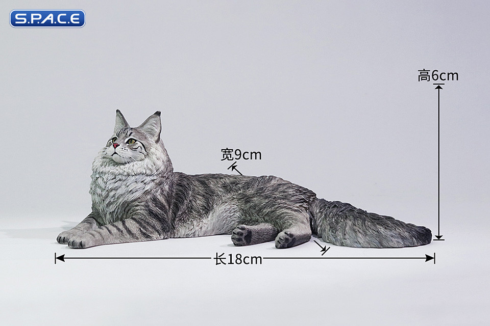 1/6 Scale Maine Coon