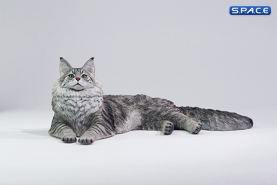1/6 Scale Maine Coon