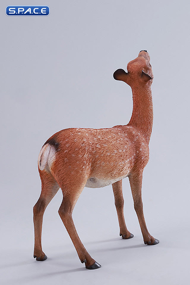 1/6 Scale Nara Deer