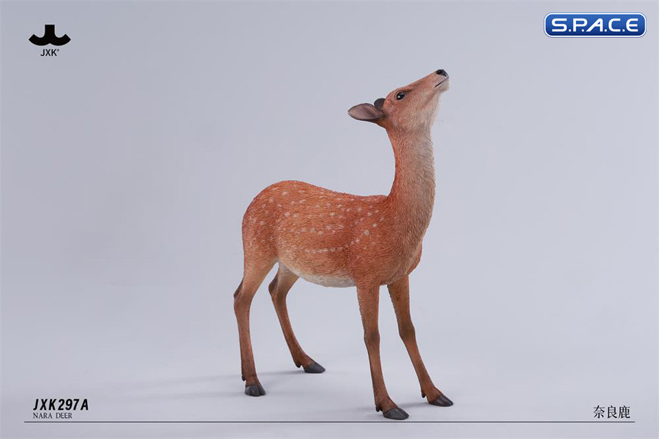 1/6 Scale Nara Deer
