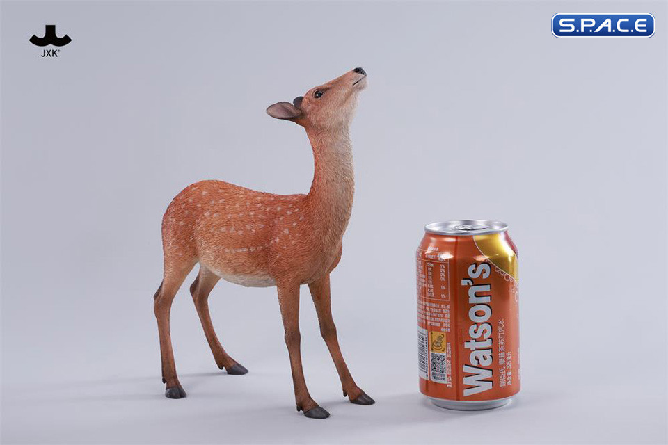 1/6 Scale Nara Deer