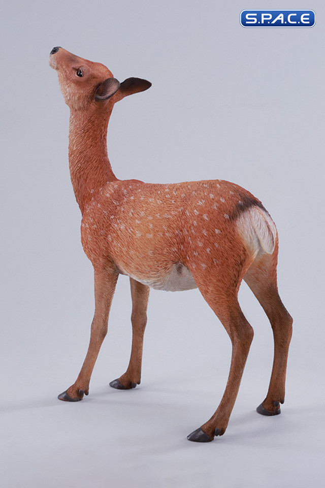 1/6 Scale Nara Deer