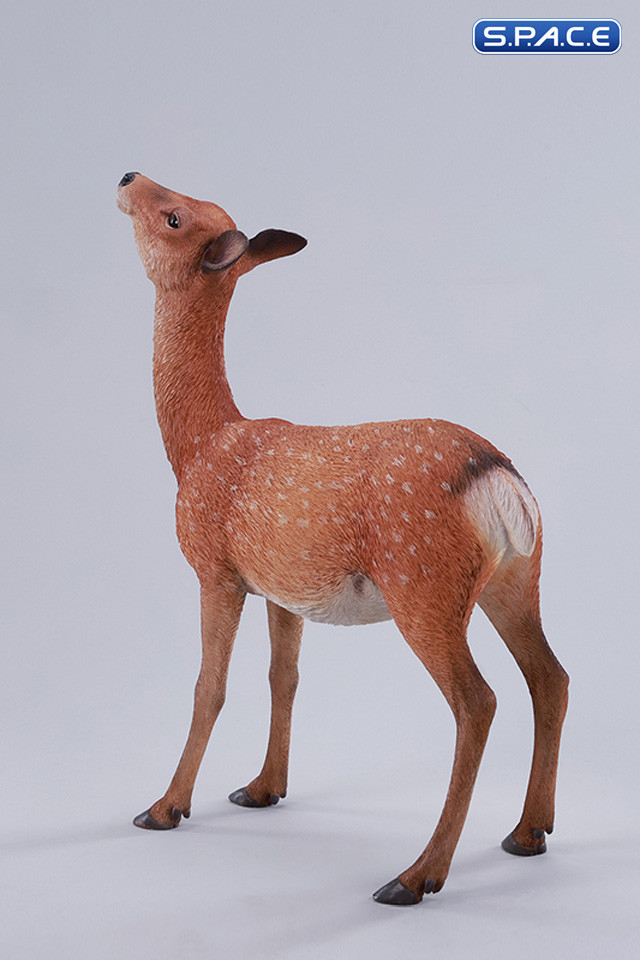 1/6 Scale Nara Deer