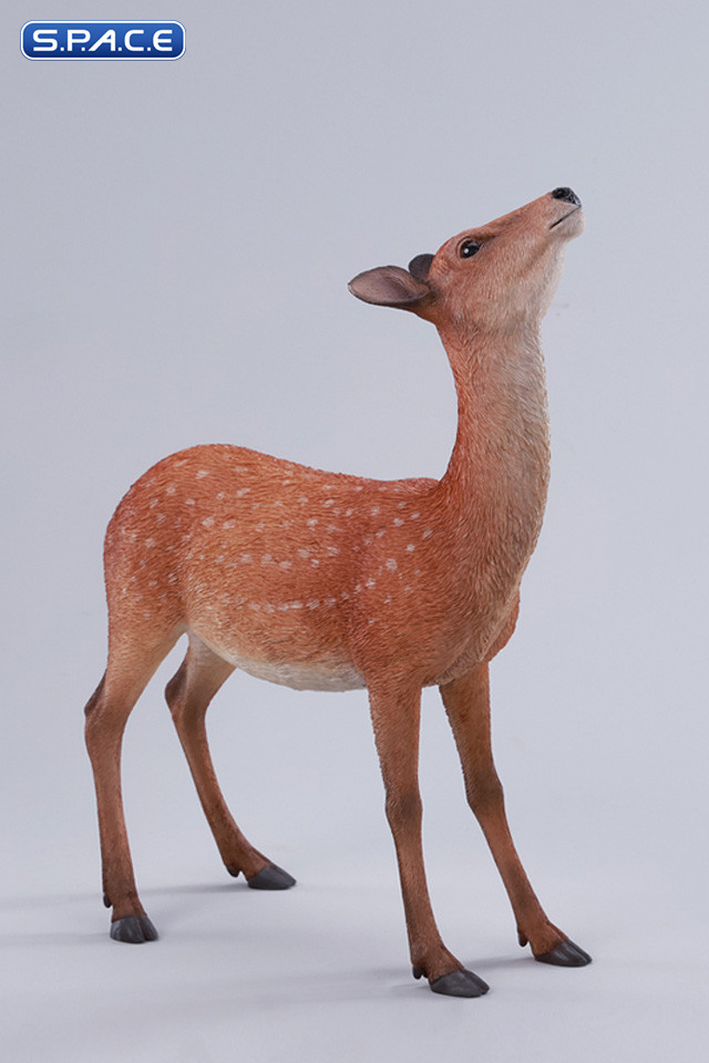 1/6 Scale Nara Deer