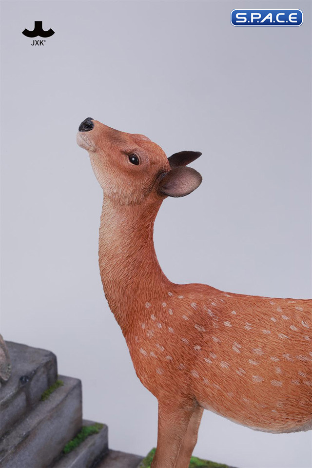 1/6 Scale Nara Deer
