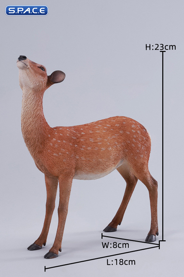 1/6 Scale Nara Deer