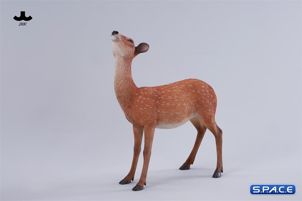 1/6 Scale Nara Deer