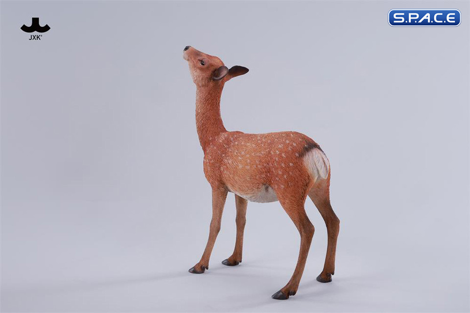1/6 Scale Nara Deer