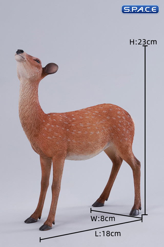 1/6 Scale Nara Deer with lantern