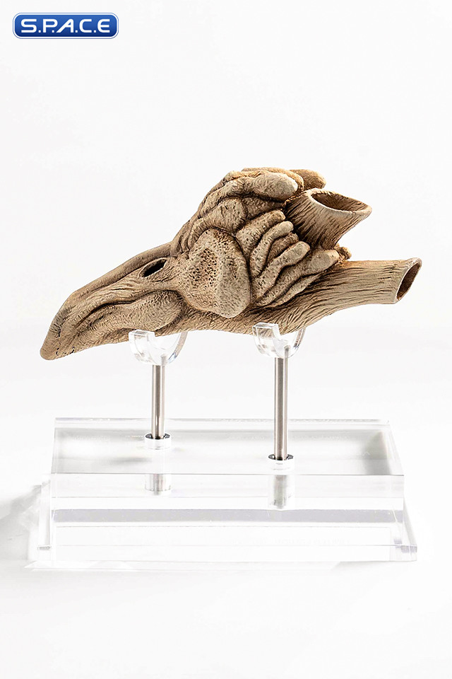 1:1 Velociraptor Resonating Chamber Life-Size Replica (Jurassic Park III)