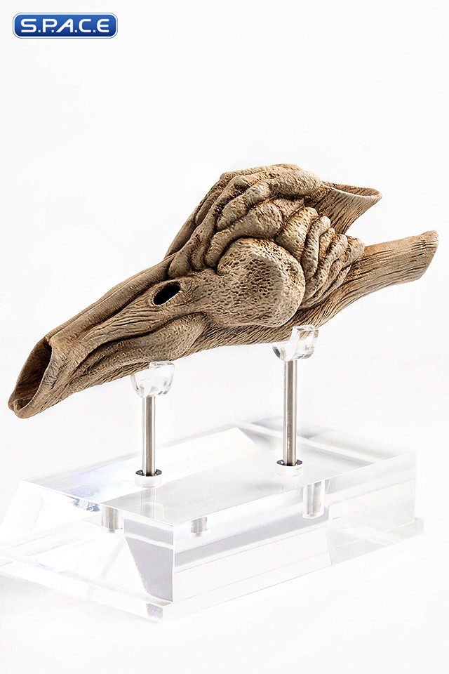 1:1 Velociraptor Resonating Chamber Life-Size Replica (Jurassic Park III)