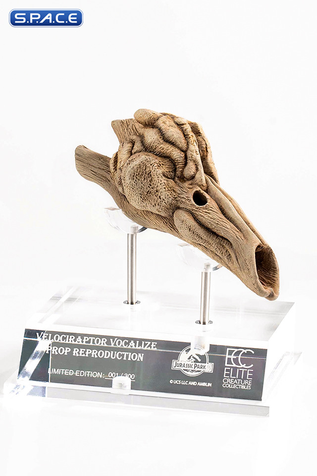 1:1 Velociraptor Resonating Chamber Life-Size Replica (Jurassic Park III)