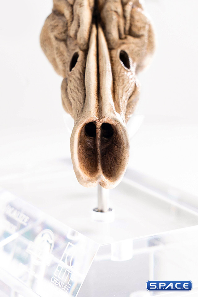 1:1 Velociraptor Resonating Chamber Life-Size Replica (Jurassic Park III)