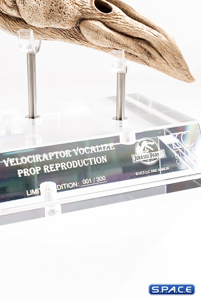 1:1 Velociraptor Resonating Chamber Life-Size Replica (Jurassic Park III)